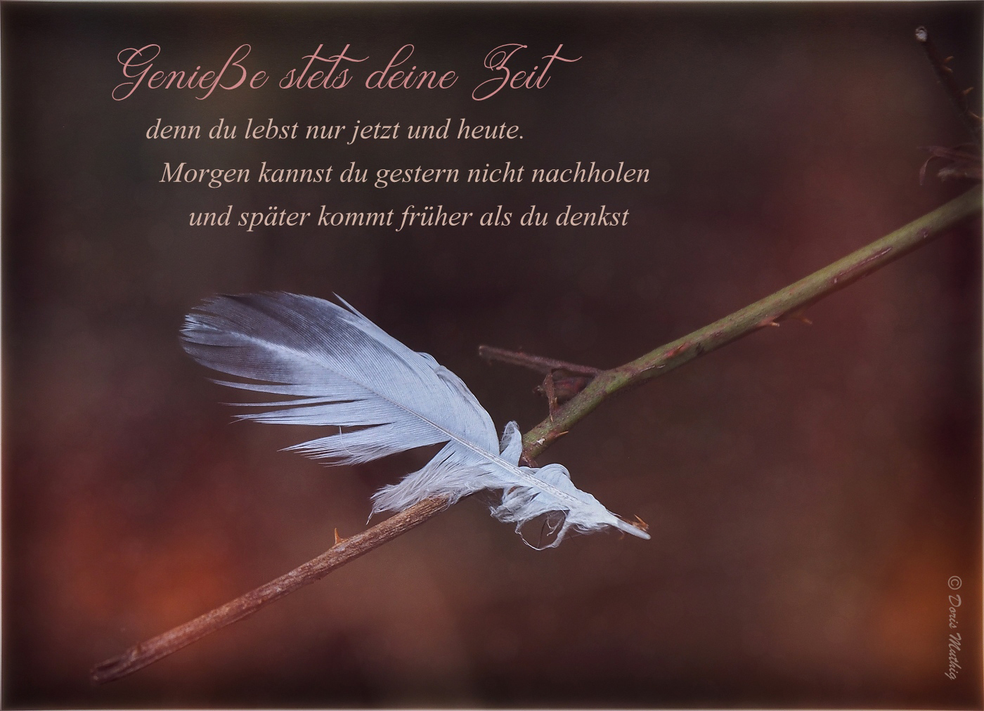 Natur undLandschaftsfotografie Lebensweisheiten im Bild festgehalten