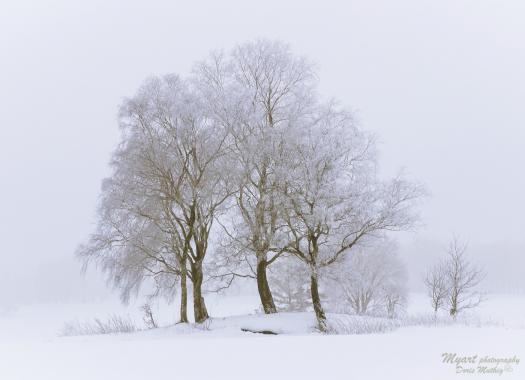 23.Januar "Kölschhött"