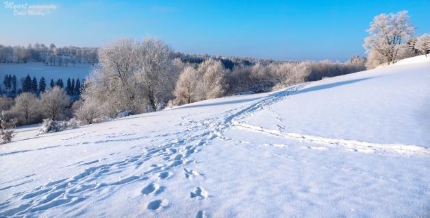 18.Januar Kesternich