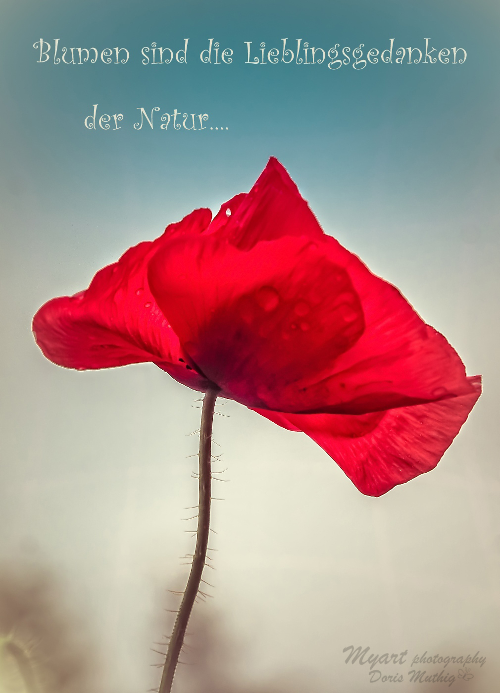  Foto zu Natur und-Landschaftsfotografie - Lebensweisheiten im Bild festgehalten 