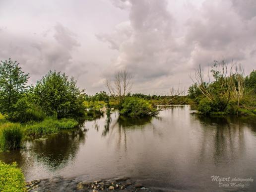 Viele kleine Seen und Teiche findet man im Naturschutzgebiet