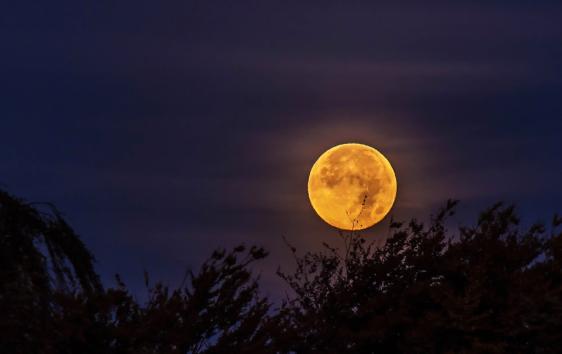 Monduntergang im Westen Ende Oktober morgens gegen 8:00 Uhr