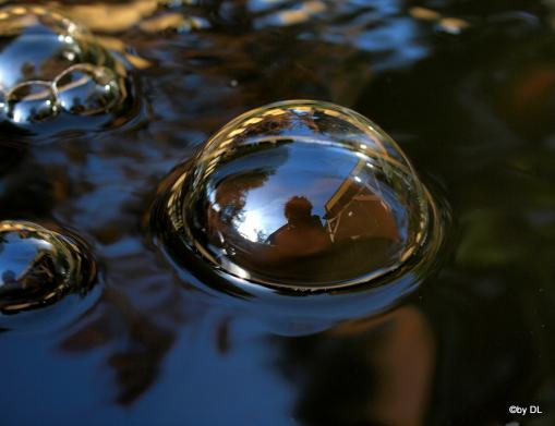 Blubberblasen im Teich