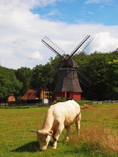 Mühle in Kommern Freilichtmuseum