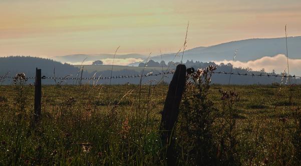 An einem frühen Morgen im August zwischen Kesternich und Strauch