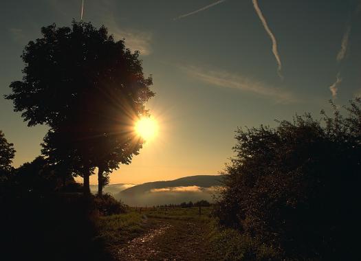 Sonnenaufgang in Steckenborn