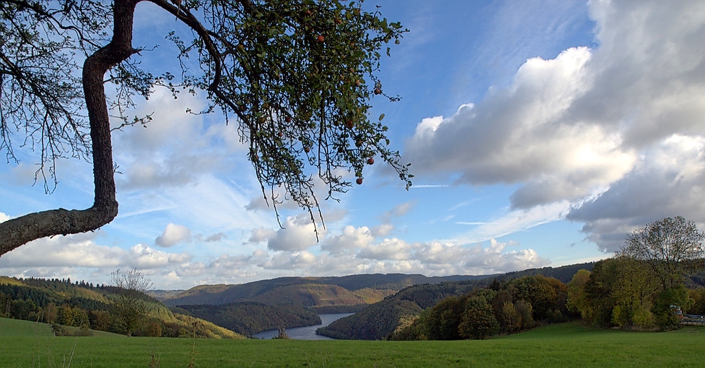 Blick auf das Tal Richtung Rursee-Aussichtspunkt: 