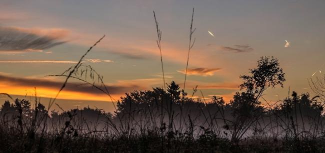 Das "Hohe Venn" vor Sonnenaufgang im September